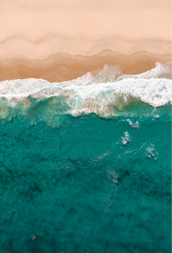an ocean wave along the beach